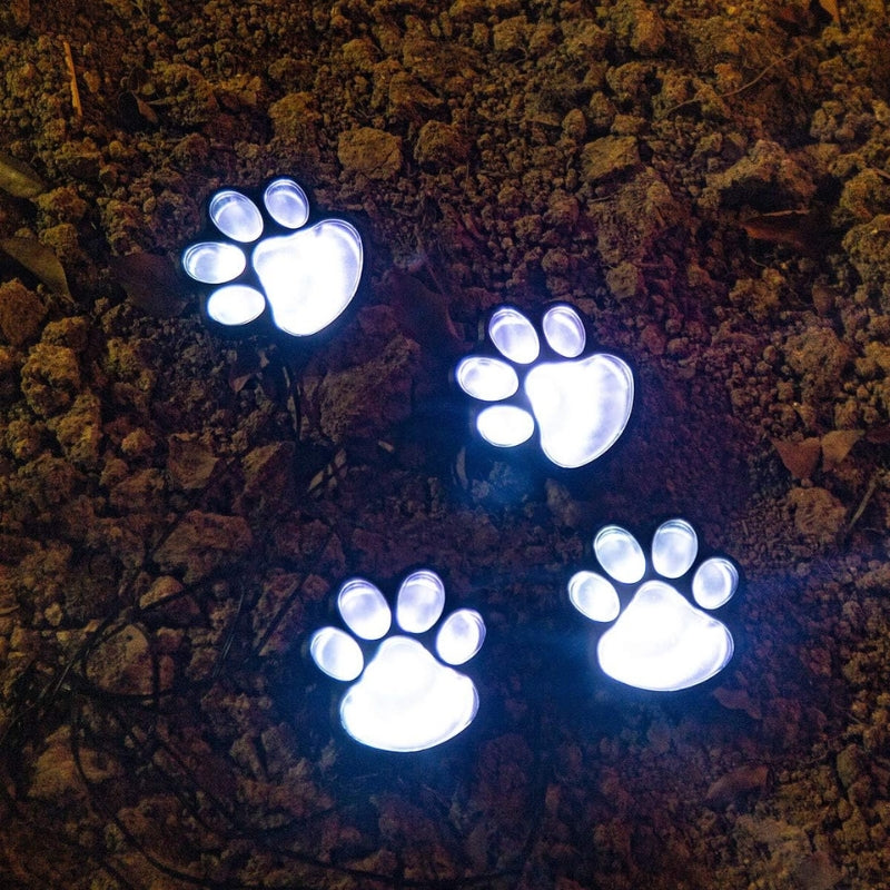 Solar-powered Paw Lighting