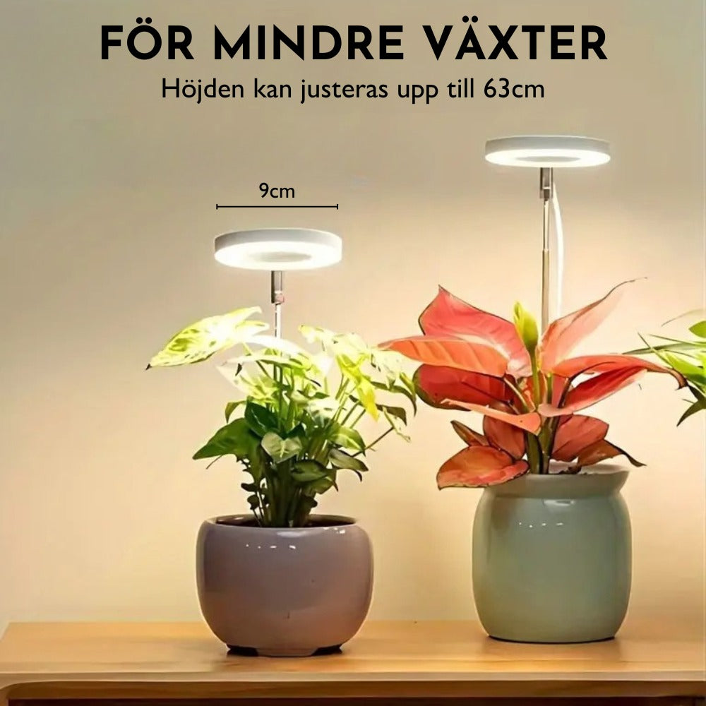 Plante lampe med timer & justerbar højde