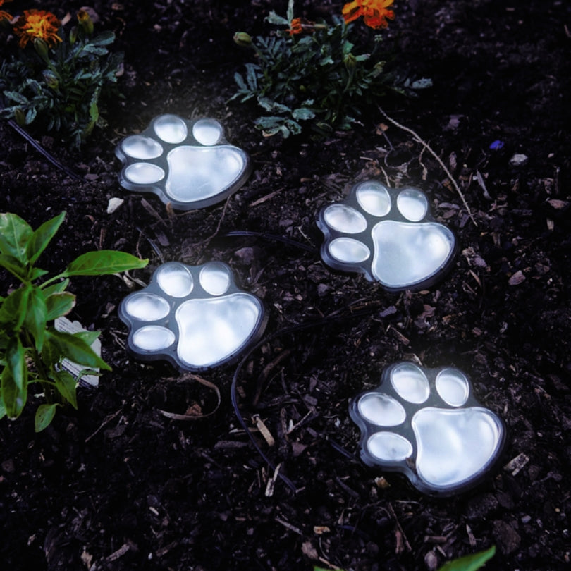 Solar-powered Paw Lighting