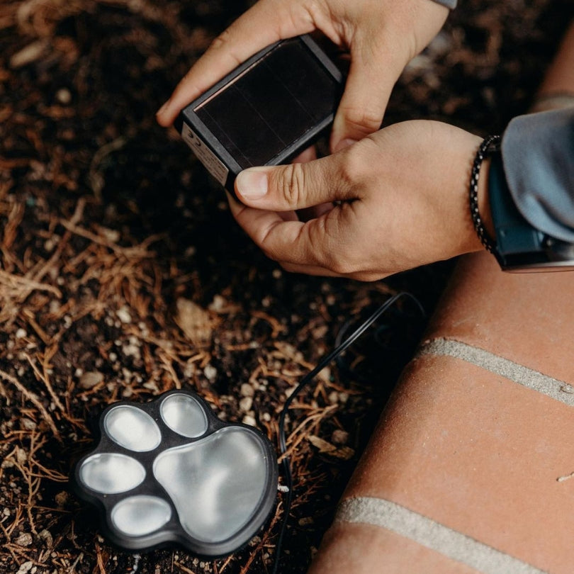 Solar-powered Paw Lighting